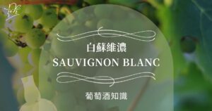 白蘇維濃