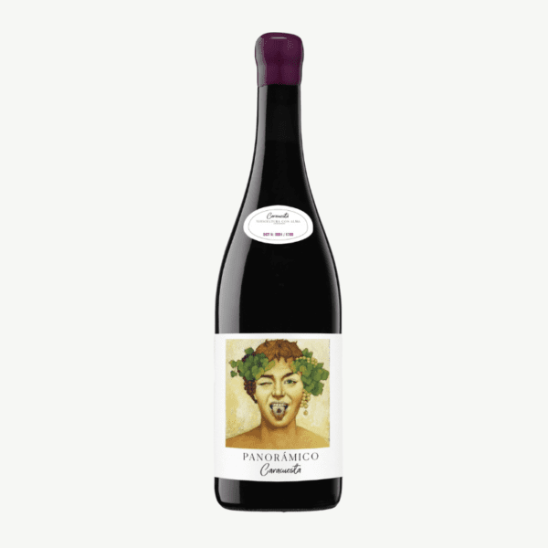 西班牙 里奧哈 帕諾拉米可酒莊 百年⽼藤紅酒 - 少年