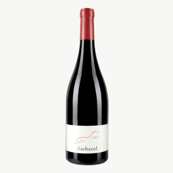 西班牙 寶馬酒莊 小寶馬紅酒 2020