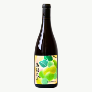 日本山形酒莊 葡萄共和國 南陽風土 橘酒
