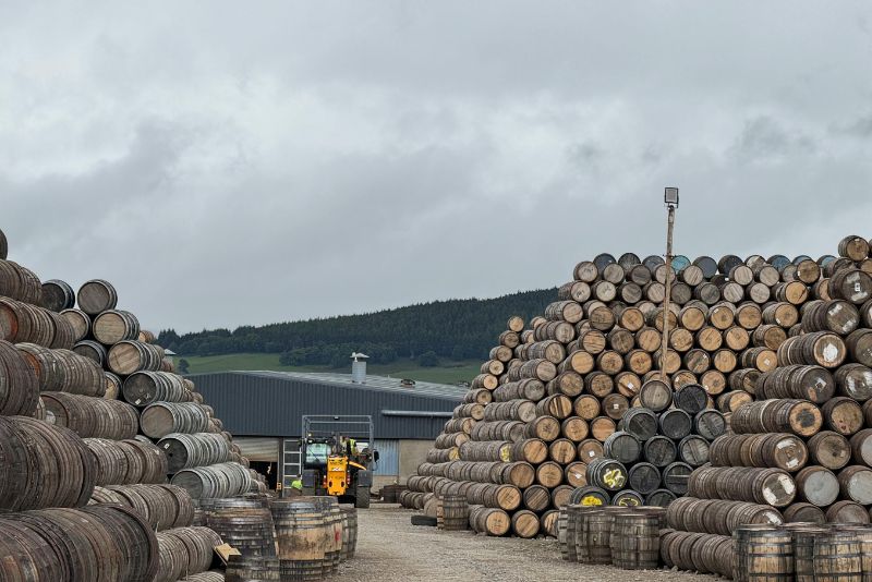 威士忌桶型差異 雪莉桶 波本桶 紅酒桶