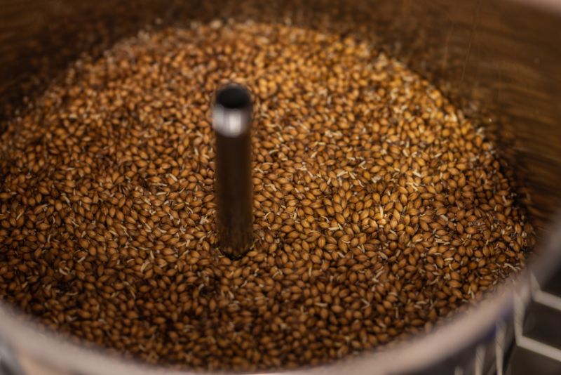 單一麥芽與調和威士忌差異比較